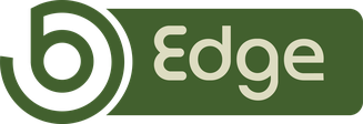 bEdge Tech Services
